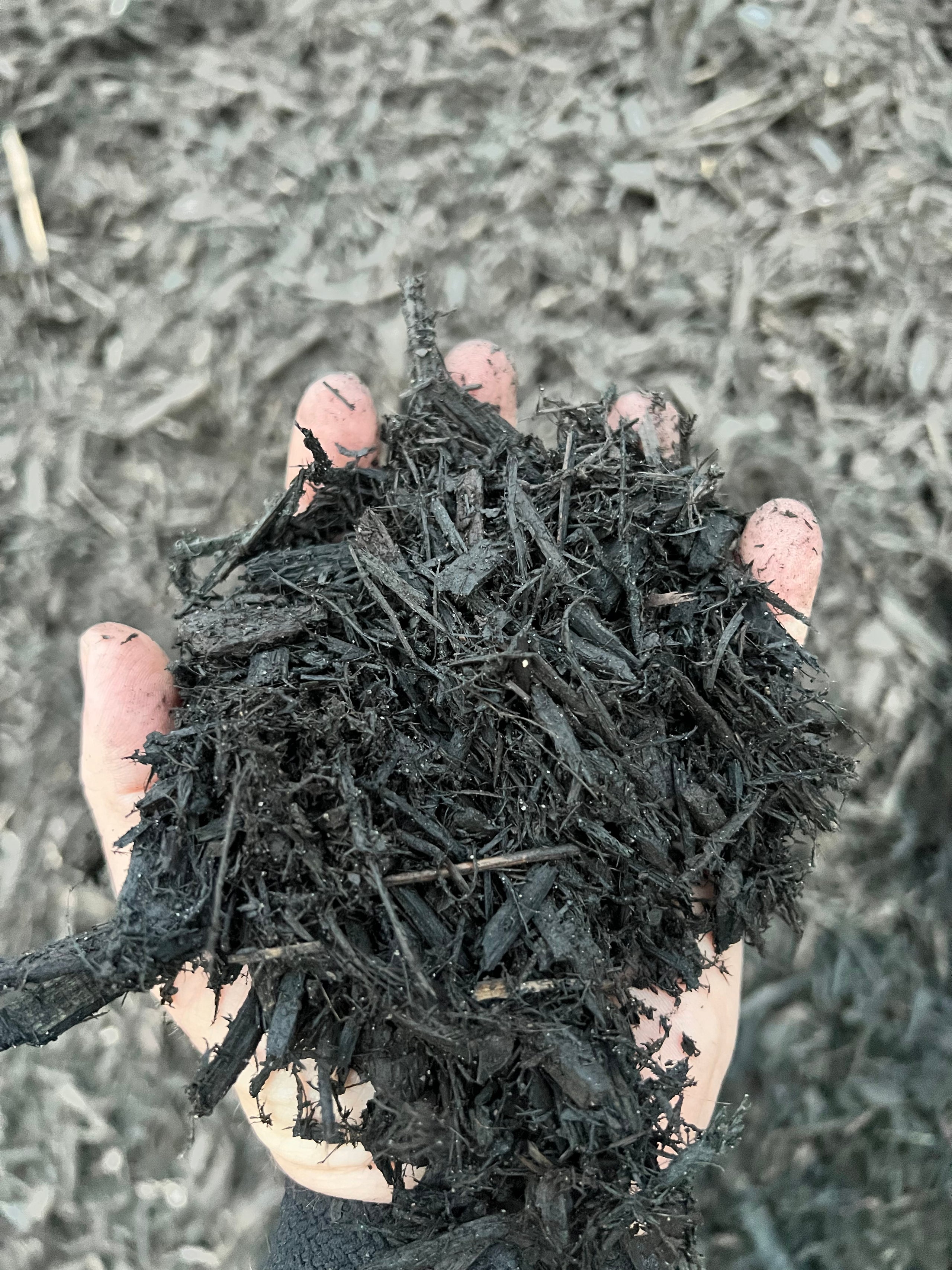 Premium dyed black mulch Mulch Solutions